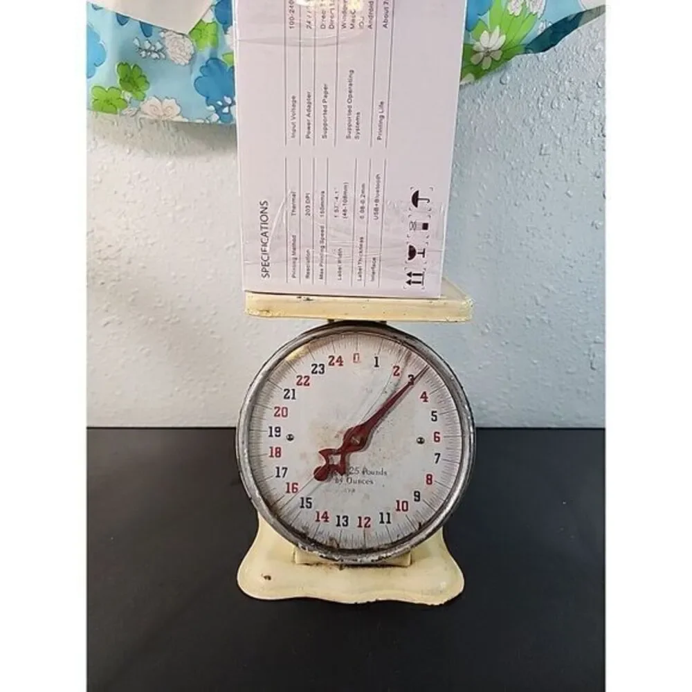 ANTIQUE AMERICAN FAMILY SCALE 25 LB ALUMINUM 8